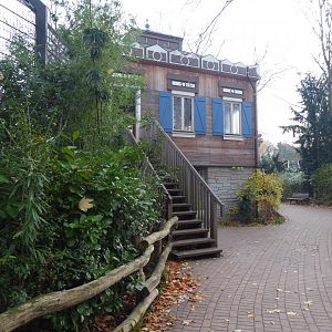 Siberian tiger viewing area 011219