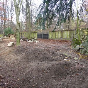 Southern white-lipped peccary enclosure 011219