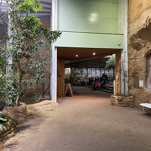 Aequatorium/Affenhaus view 011219