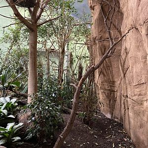 Aequatorium/Affenhaus - larger aviary 011219