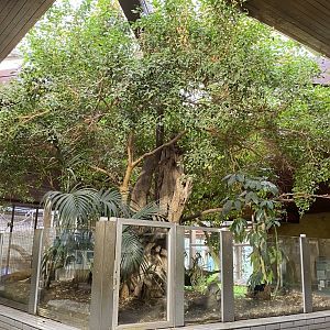 Aequatorium/Affenhaus - centre exhibit 011219