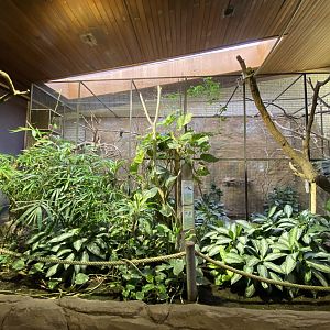 Aequatorium/Affenhaus - smaller aviary 011219