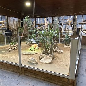 Aequatorium/Affenhaus view 011219