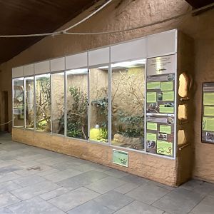 Aequatorium/Affenhaus view 011219