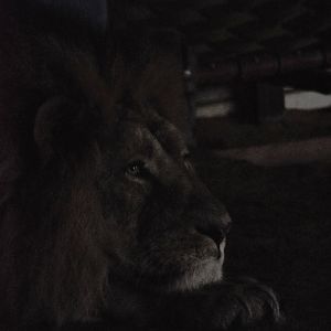 Bhanu pondering life in black and white.