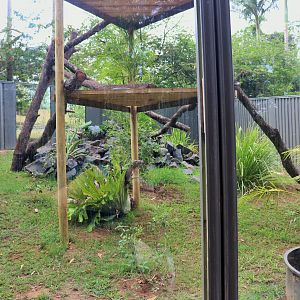 Iguana Enclosure