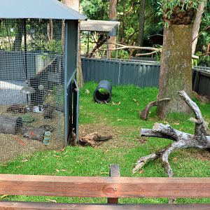 Rabbit/Guinea Pig Enclosure