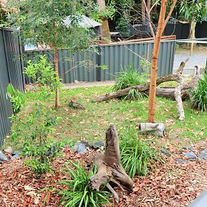 Rufous Bettong Enclosure