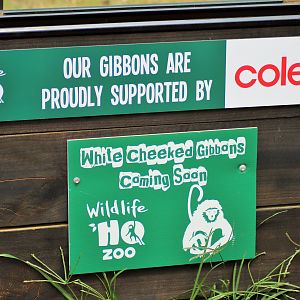 White-cheeked Gibbon Sign