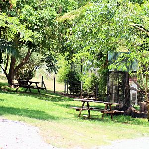 South American Trail