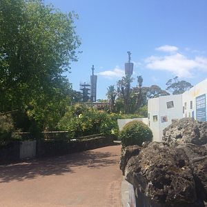 High Poles Seen From Outside Alligator Exhibit (13/12/2019)
