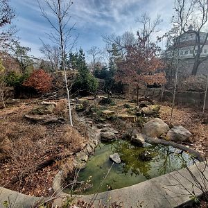 Dec. 2019 - Bald Eagle Exhibit + Reptile House