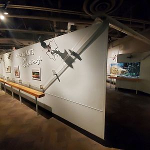 Dec. 2019 - World of the Insect - Leaf cutter Ant Exhibit (Middle Part)