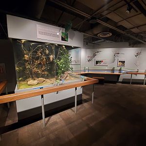 Dec. 2019 - World of the Insect - Leaf cutter Ant Exhibit (Last Part)