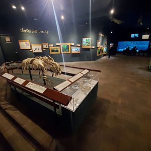 Dec. 2019 - Manatee Springs - Educational Area