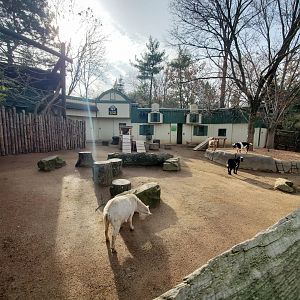 Dec. 2019 - Children's Zoo - Petting Zoo