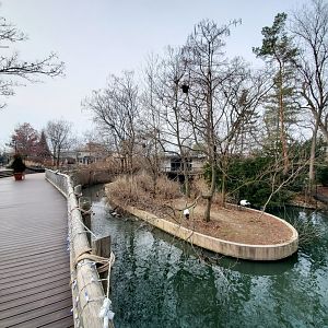 Dec. 2019 - Swan Lake - Red-crowned Crane Island