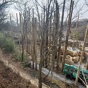 Dec. 2019 - Roo Valley Construction (2020)/Former Wildlife Canyon