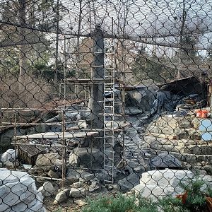 Dec. 2019 - Cat Canyon - Construction in Snow Leopard Exhibit