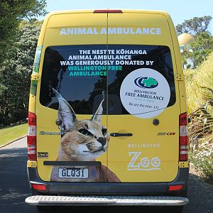 zoo hospital ambulance