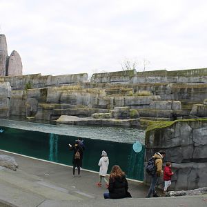 Enclosure South American sea-lion