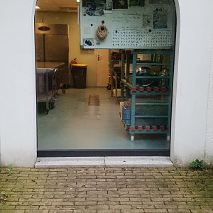 View into the bird-feeding kitchen