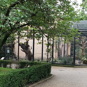 Aviaries Ground hornbill and Ibis