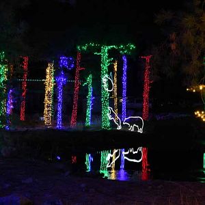 Christmas light display