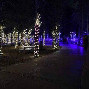 Christmas light display