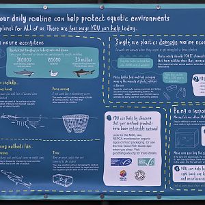 Aquarium environmental education sign