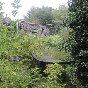 Bridge in Asian walk-through aviary