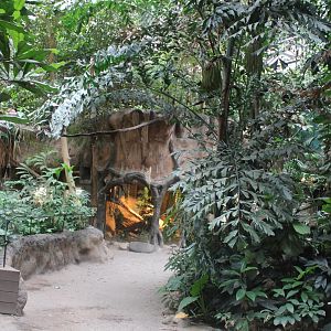 Python-enclosure in Elephant-house