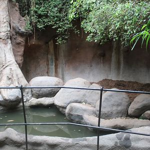 Indoor enclosure Indian one-horned rhinoceros