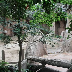 Part indoor enclosure Asian elephant