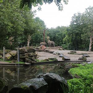 Part Elephant outdoor enclosure