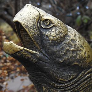 Brass Turtle Sculpture
