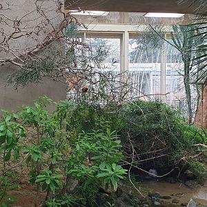 Bird House, African Savannah