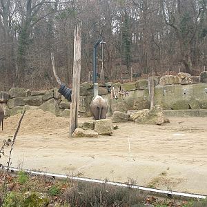 Elephant Park, outdoor