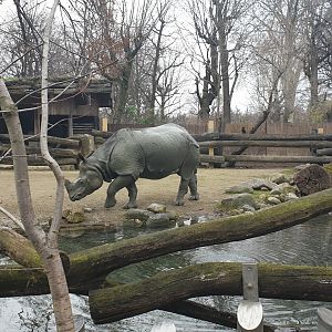 Rhino Park