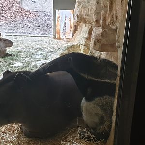 The South America Park indoor