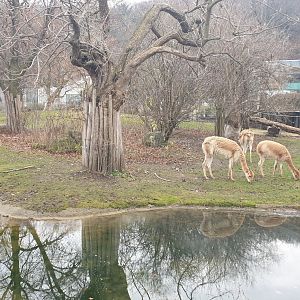 The South America Park outdoor