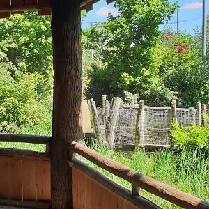 View into "Snavelrijk" - a large walk-through aviary