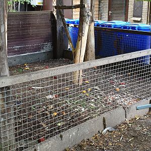Porcupine-enclosure