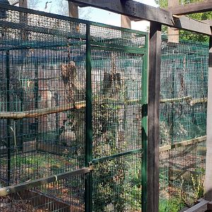 Parrot aviaries