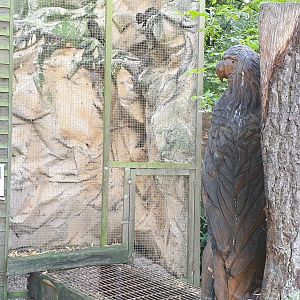 Kea aviary