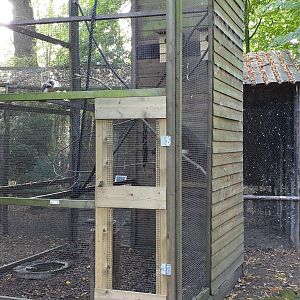 Enclosure Variegated squirrel