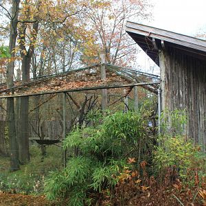 Enclosure Sifaka and Bamboo lemur