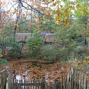 Free-ranging Lemur-area