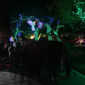 ZooLights 2019