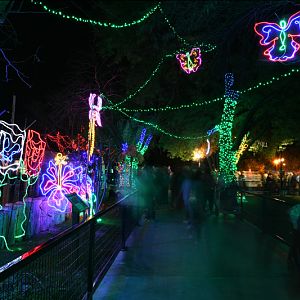 ZooLights 2019